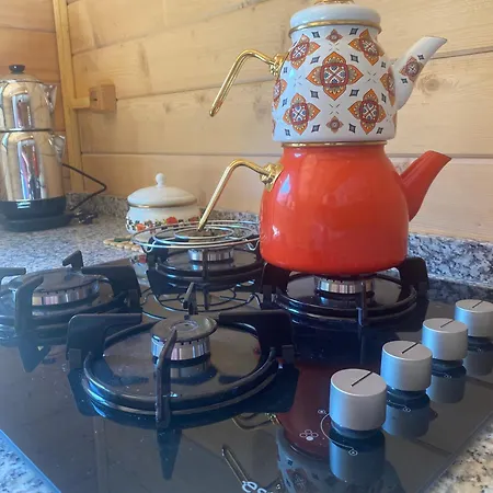 Gencal King * آيدر يايلاسِه